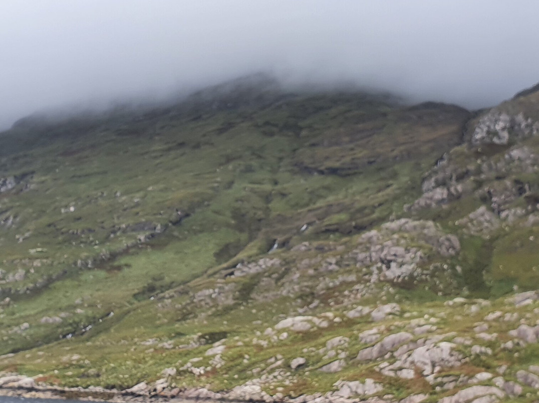 Killary Fjord Boat Tours景点图片