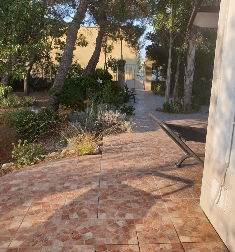 La Gazza Ladra主图