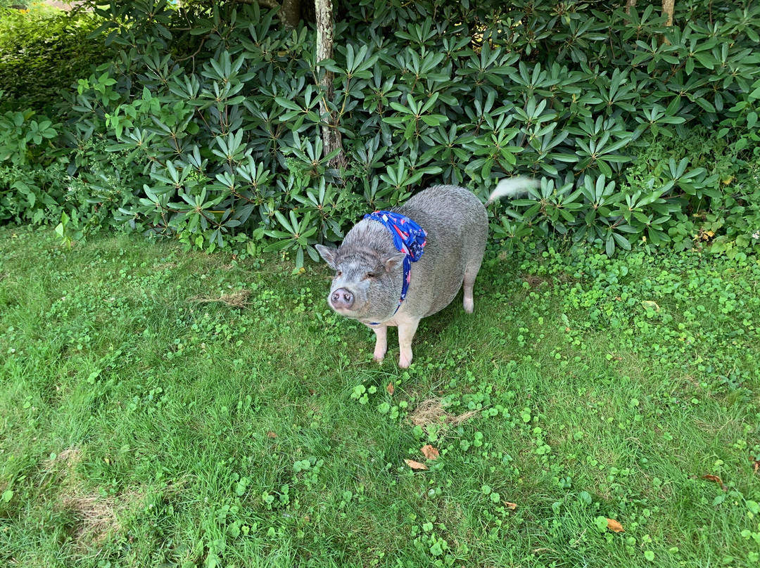 Hancock County Welcome Center-Waveland必去景点