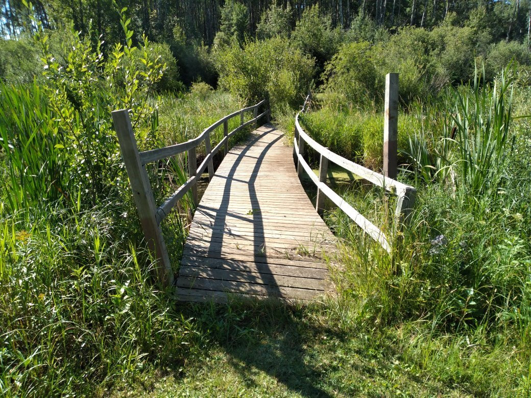 Greenwater Lake Provincial Park景点图片