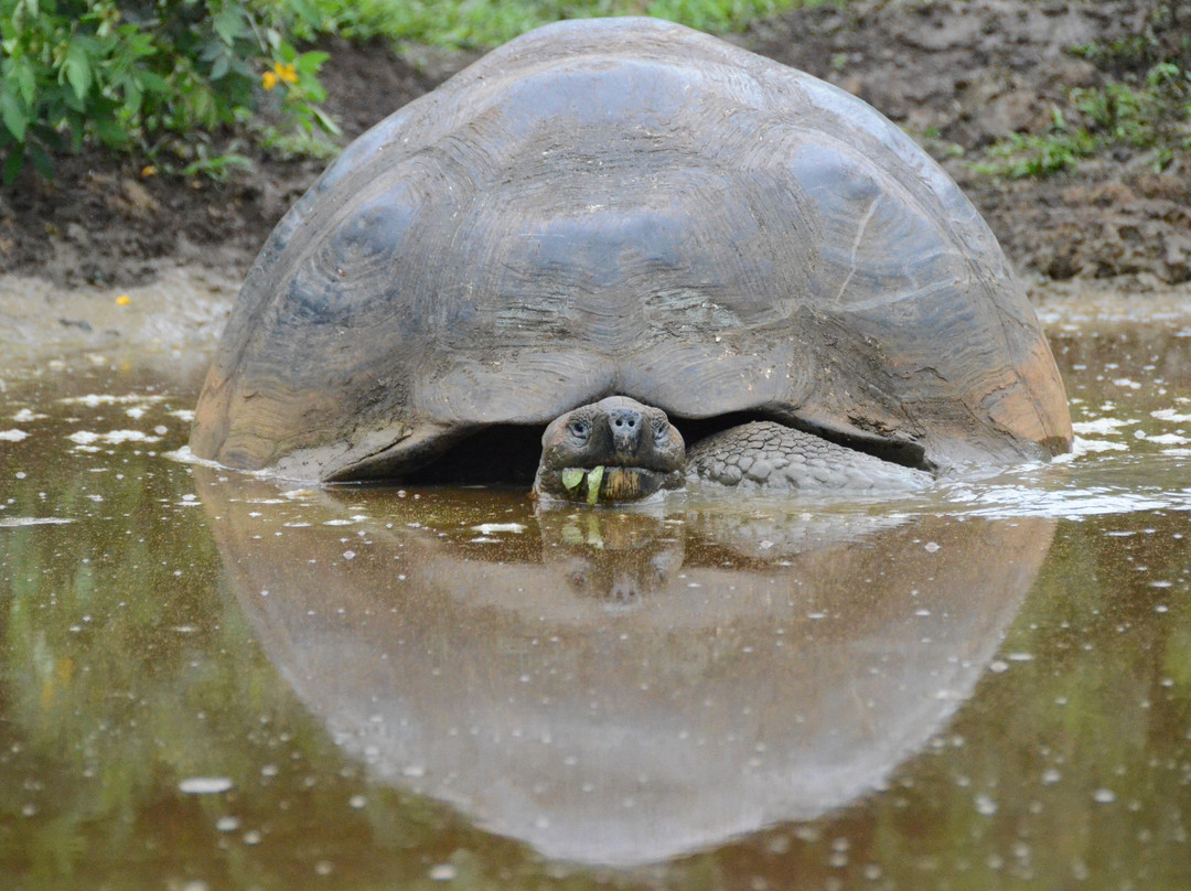 Rancho El Manzanillo-阿约拉港必去景点