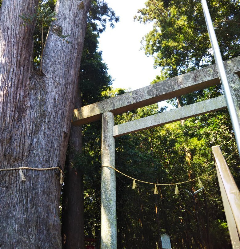 Ubuta Shrine-熊野市必去景点