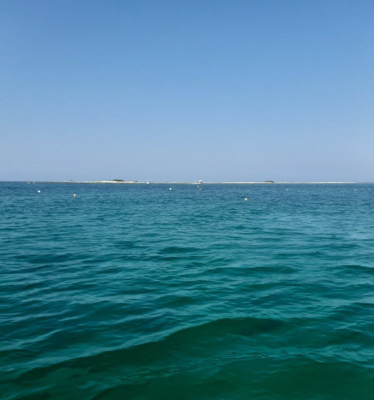 Vie del Mediterraneo - Tour Escursioni e Servizi Turistici nel Salento-切萨雷奥港必去景点