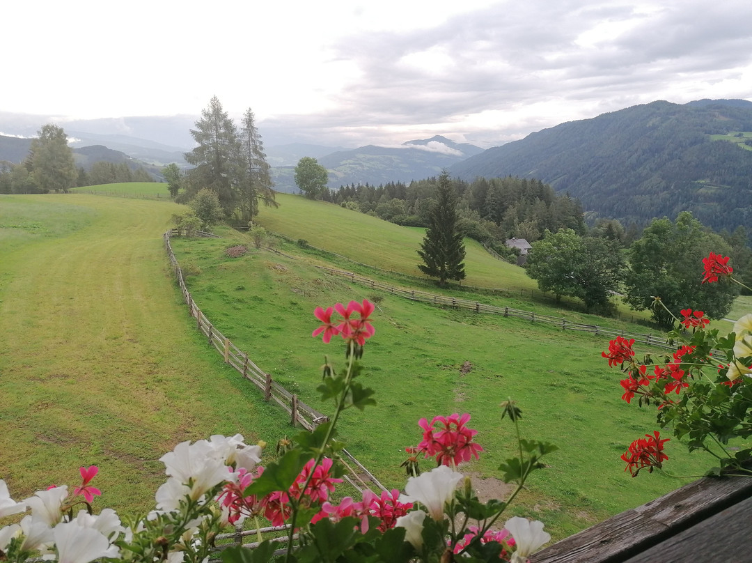 Gastehaus Bischof主图