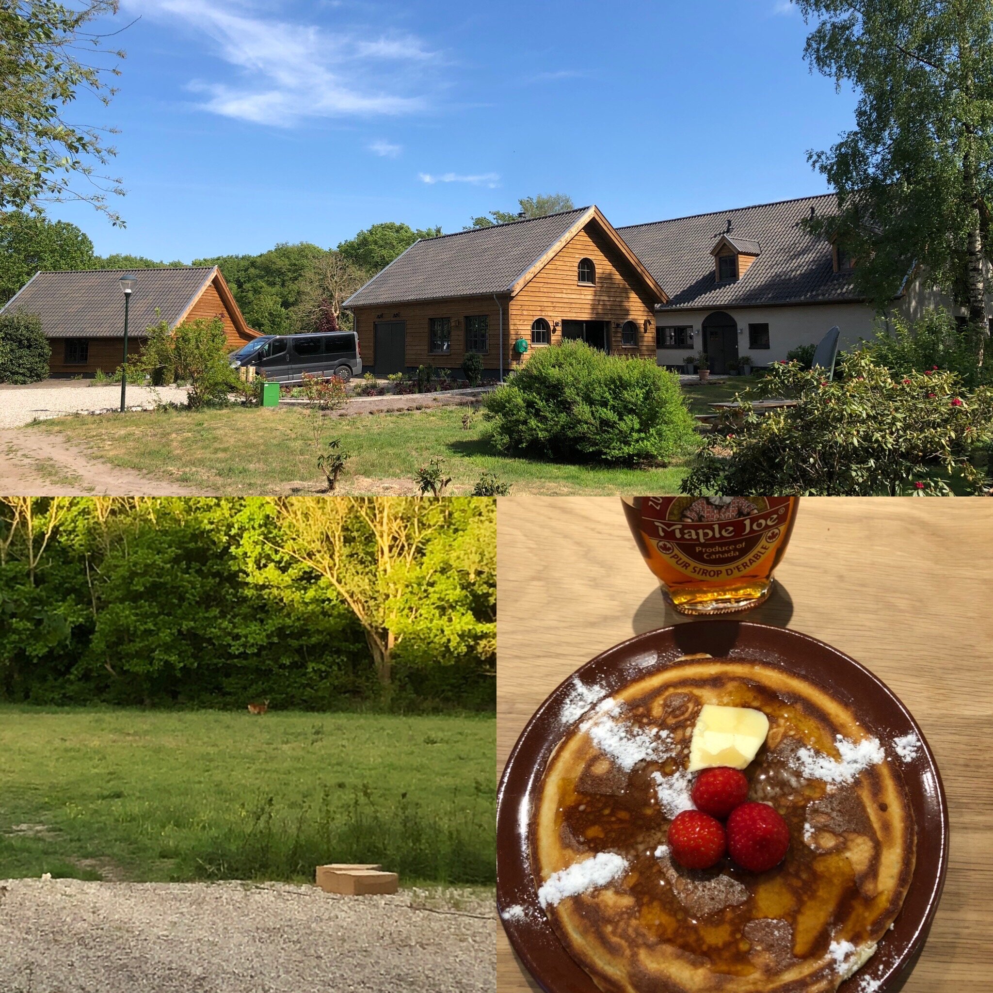 Inn The Woods-官方