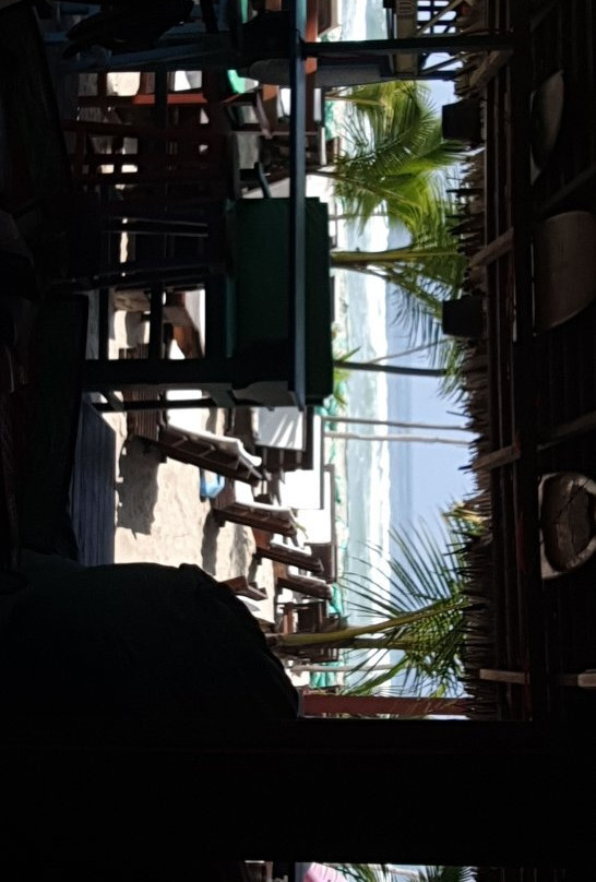 Kame Surf Camp主图