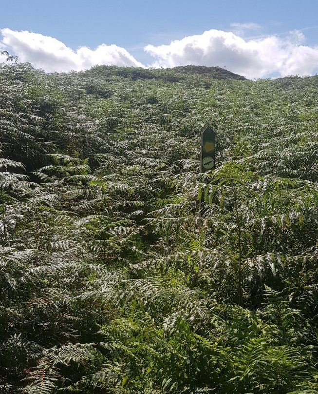 Taith Ardudwy Way景点图片