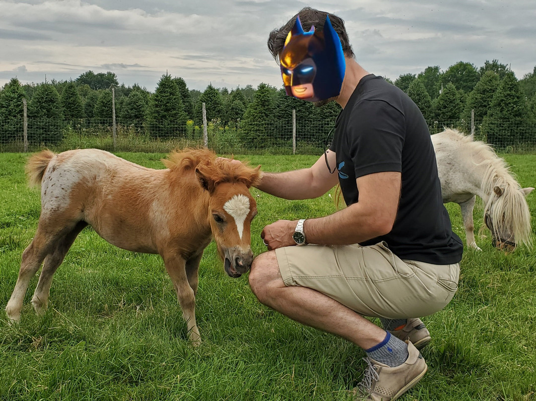 Verger Champetre - Gite & Compagnie-Granby必去景点