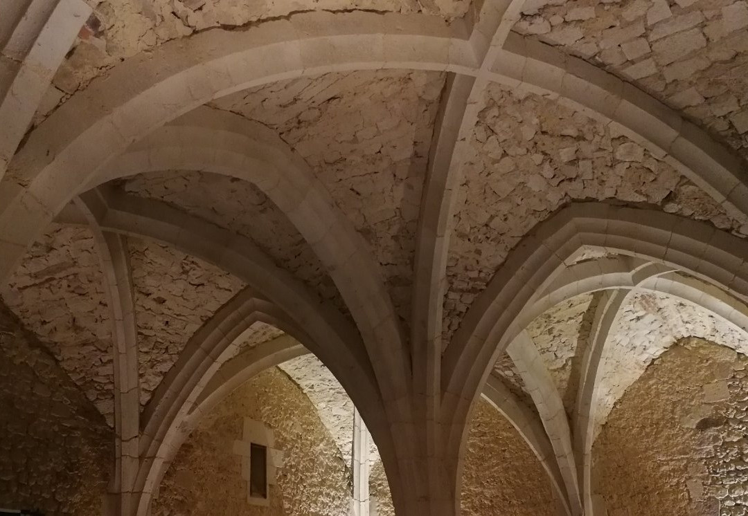 Chateau de Montmirail景点图片