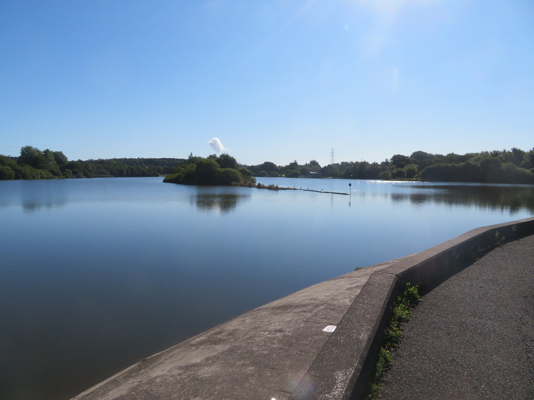 Townhill Country Park-丹弗姆林必去景点