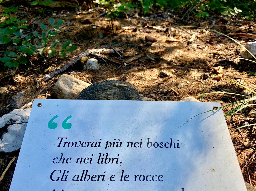Sentiero delle Sorgenti景点图片