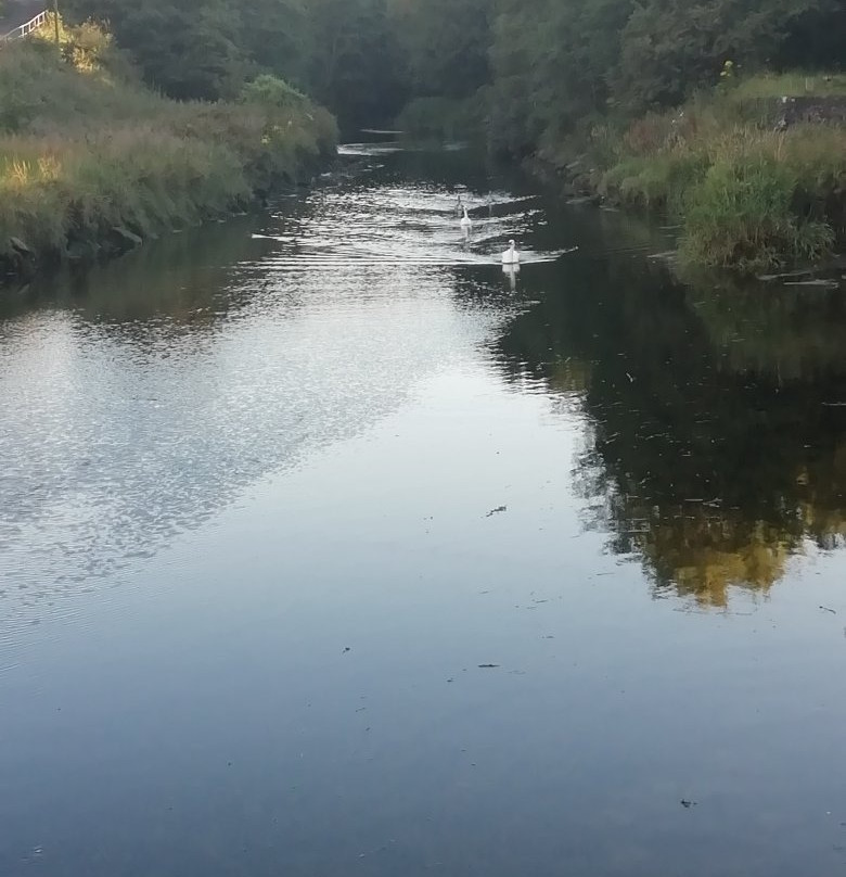 River Eye
