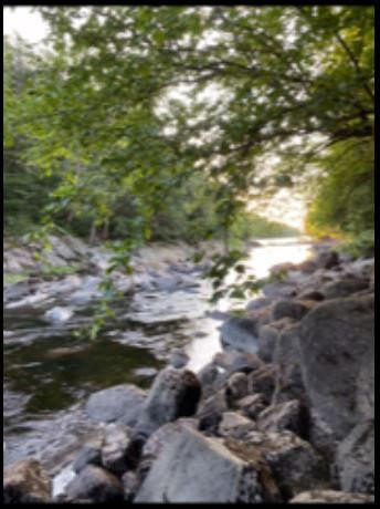 Tour Muskoka-Mactier必去景点