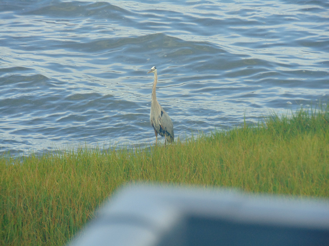 Aloft Ocean City主图