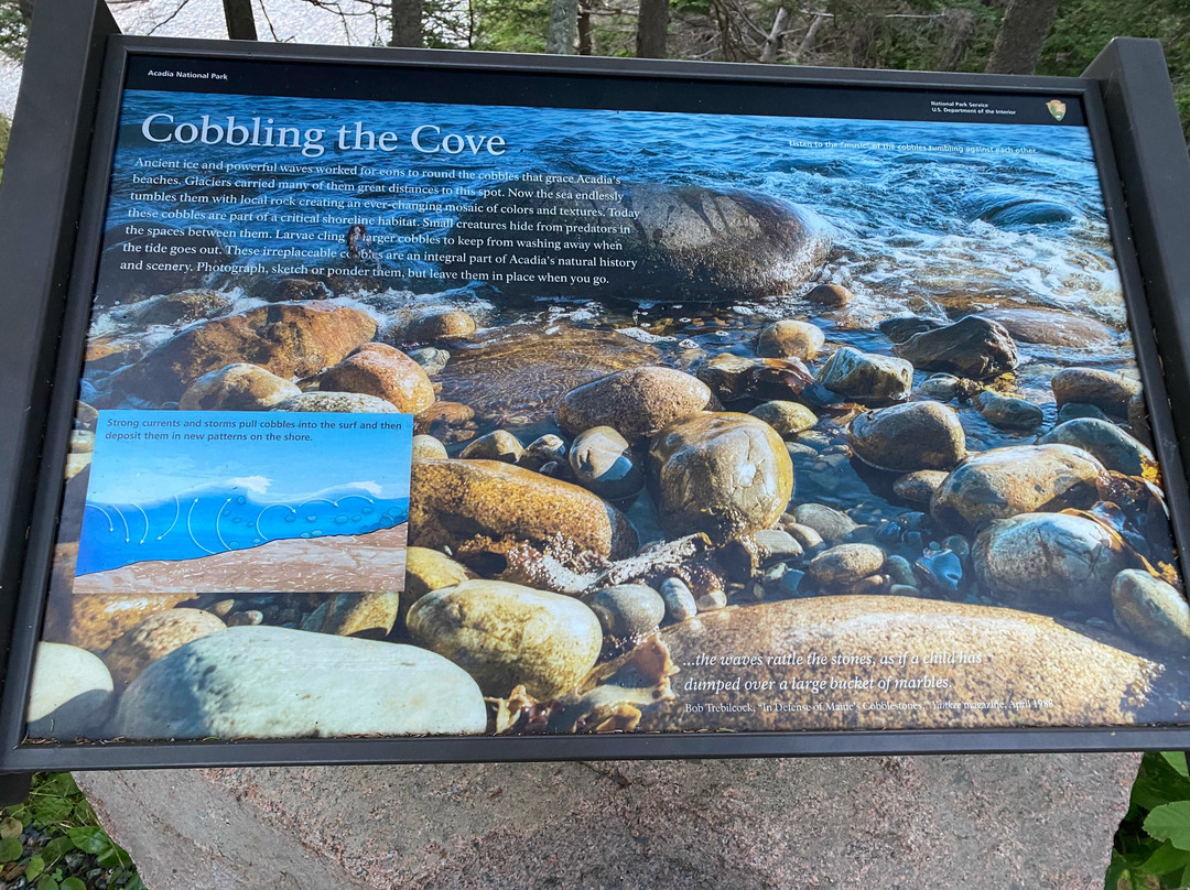 Little Hunters Beach-阿卡迪亚国家公园必去景点