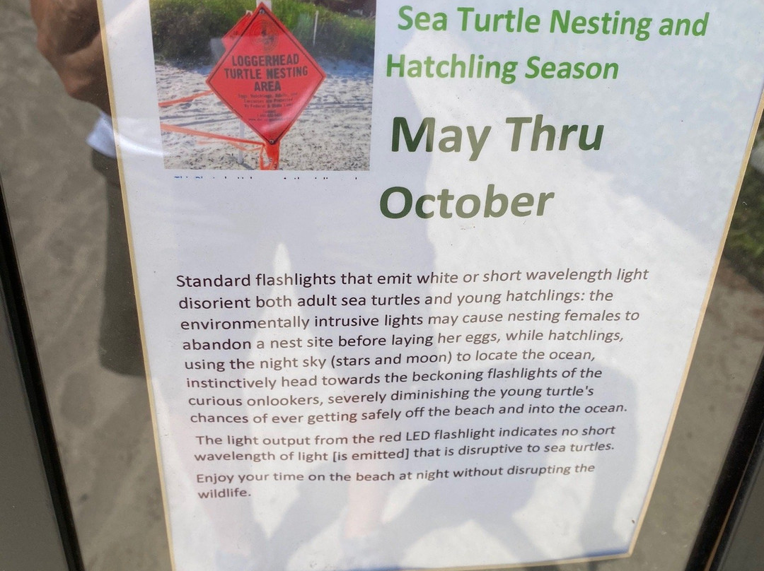 Hilton Head Island Beach-希尔顿头岛必去景点