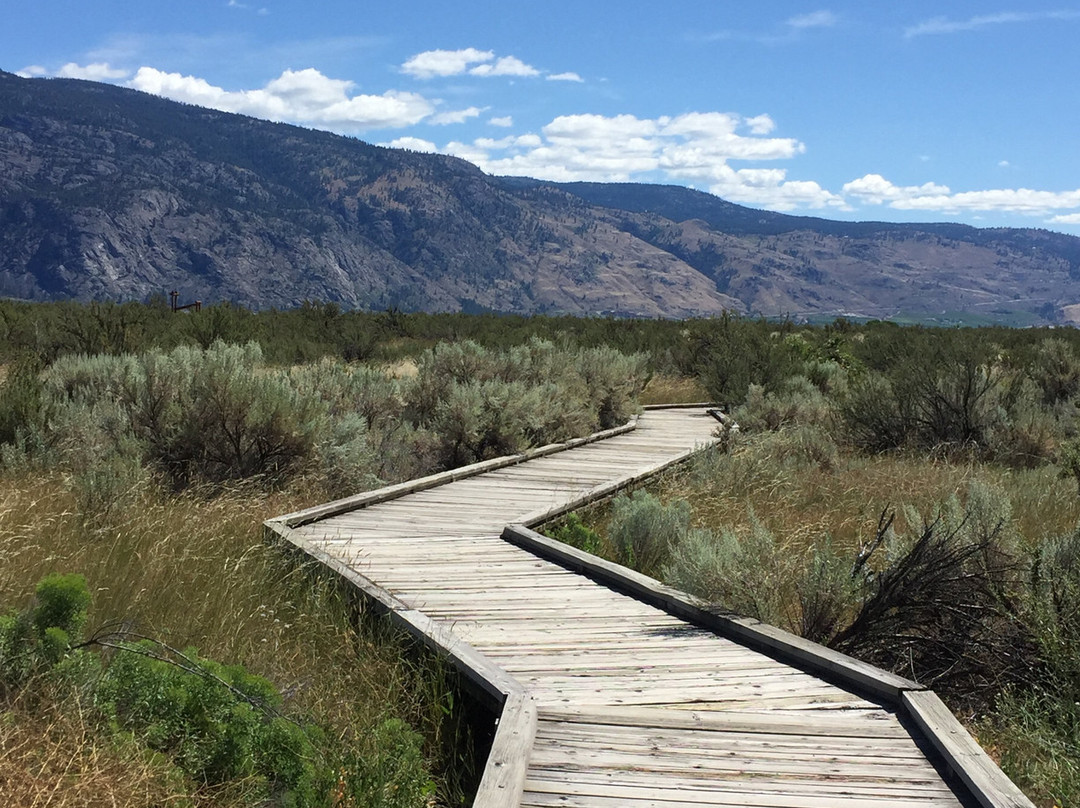 Osoyoos Desert Centre景点图片