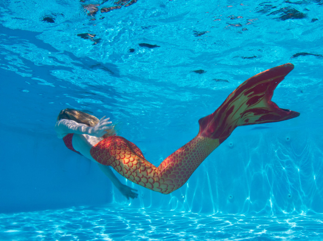 Sirenas Mediterranean Academy-塔拉戈纳必去景点