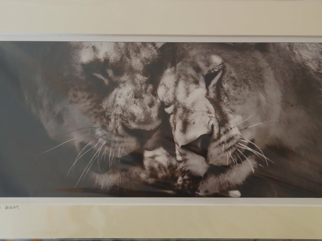 Fotoart景点图片