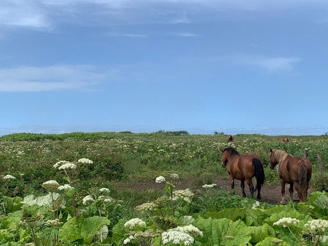 Kiritappu Cape-滨中町必去景点