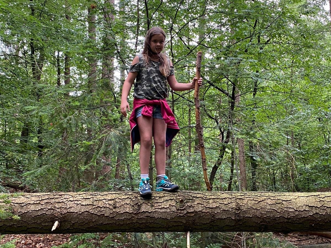 Bezoekerscentrum Nunspeet-Nunspeet必去景点