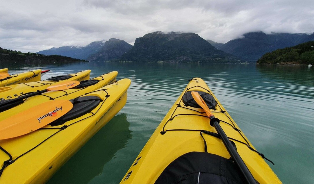 FjordSeal Kayak Day Tour景点图片