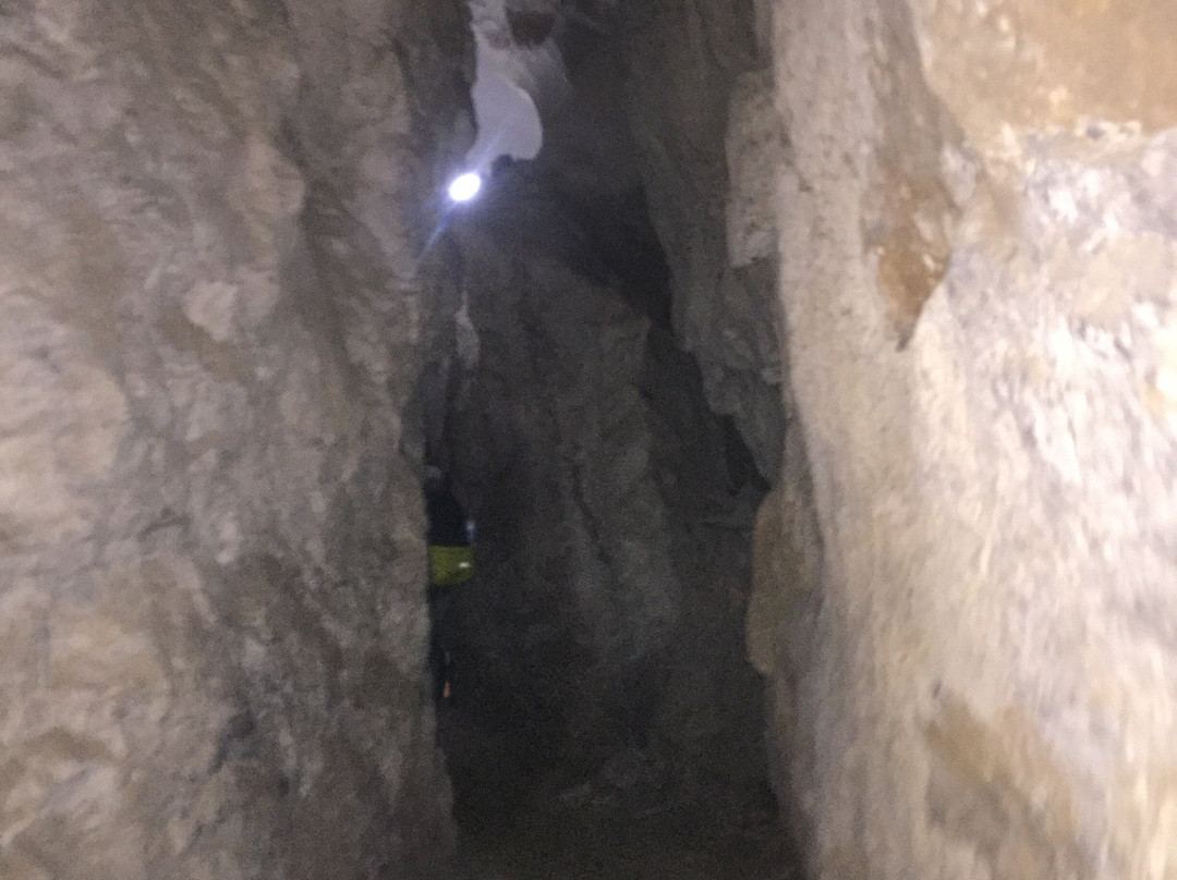 Palenque de los Cimarrones-维纳勒斯必去景点