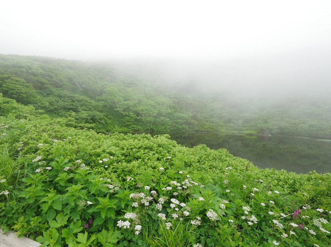 Hakkoda Mountains景点图片