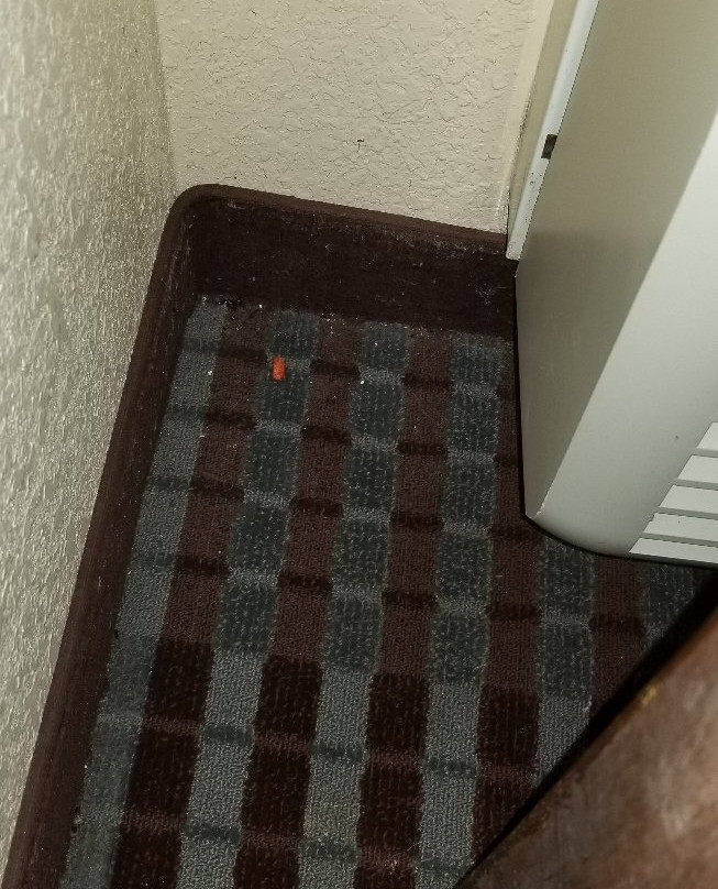 Atria Hotel & RV McGregor主图