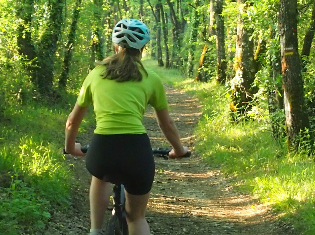 Stations Bee's Villeréal - Location vélos électriques景点图片