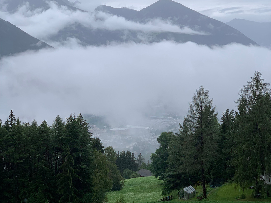 My Arbor - Dolomites主图