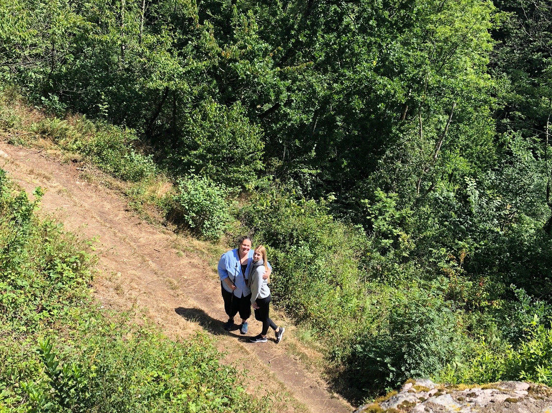 Svartingedalen-Rutsker必去景点