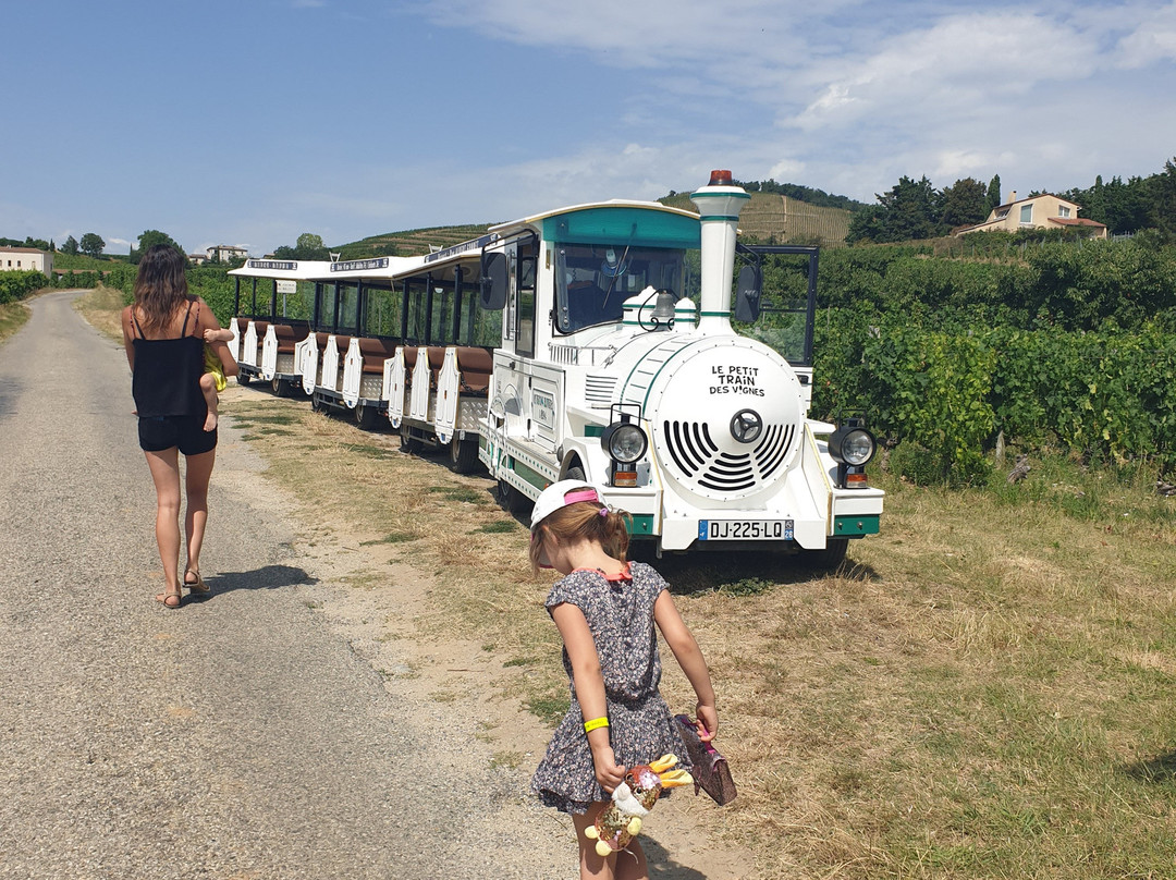 Le Petit Train des Vignes de l'Hermitage景点图片