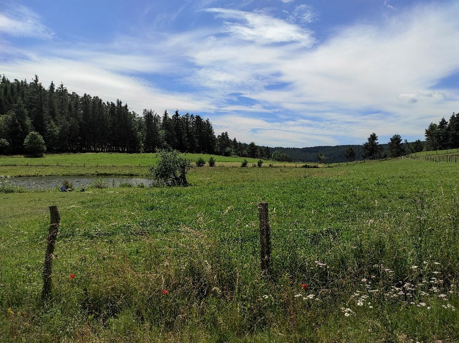 Château du Hohnack-Labaroche必去景点
