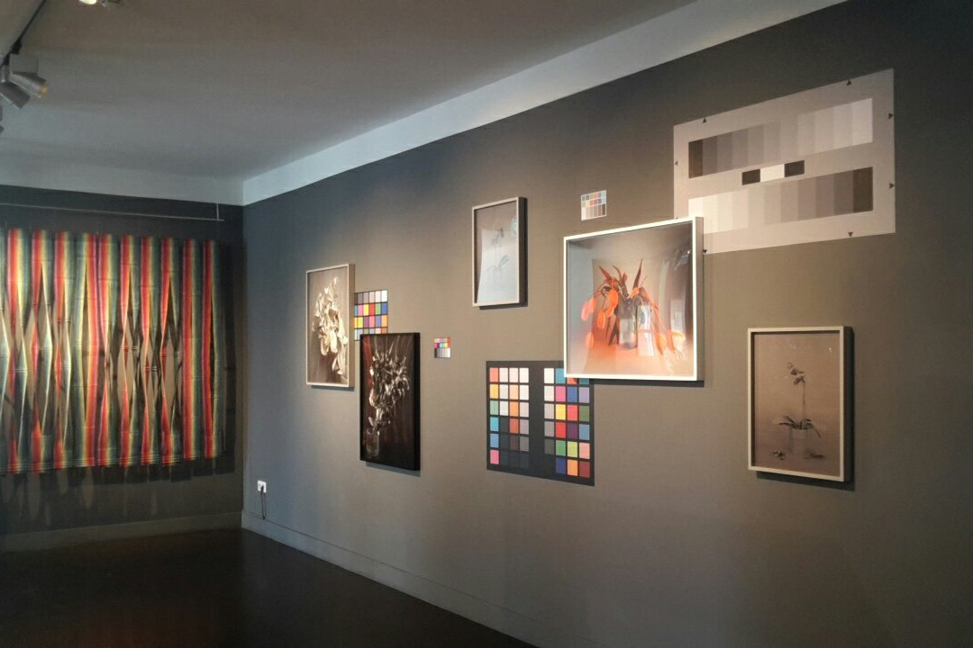 Museum de Zwarte Tulp-利塞必去景点