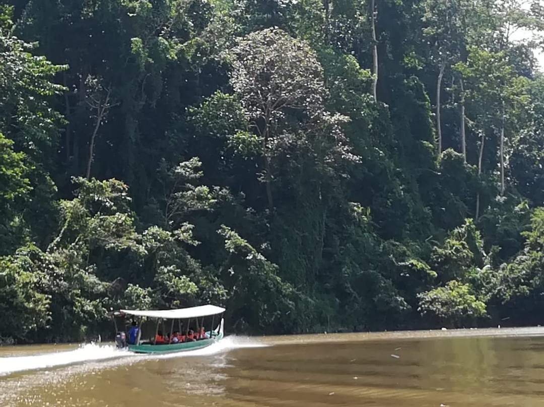 Taman Negara National Park-吉兰丹必去景点