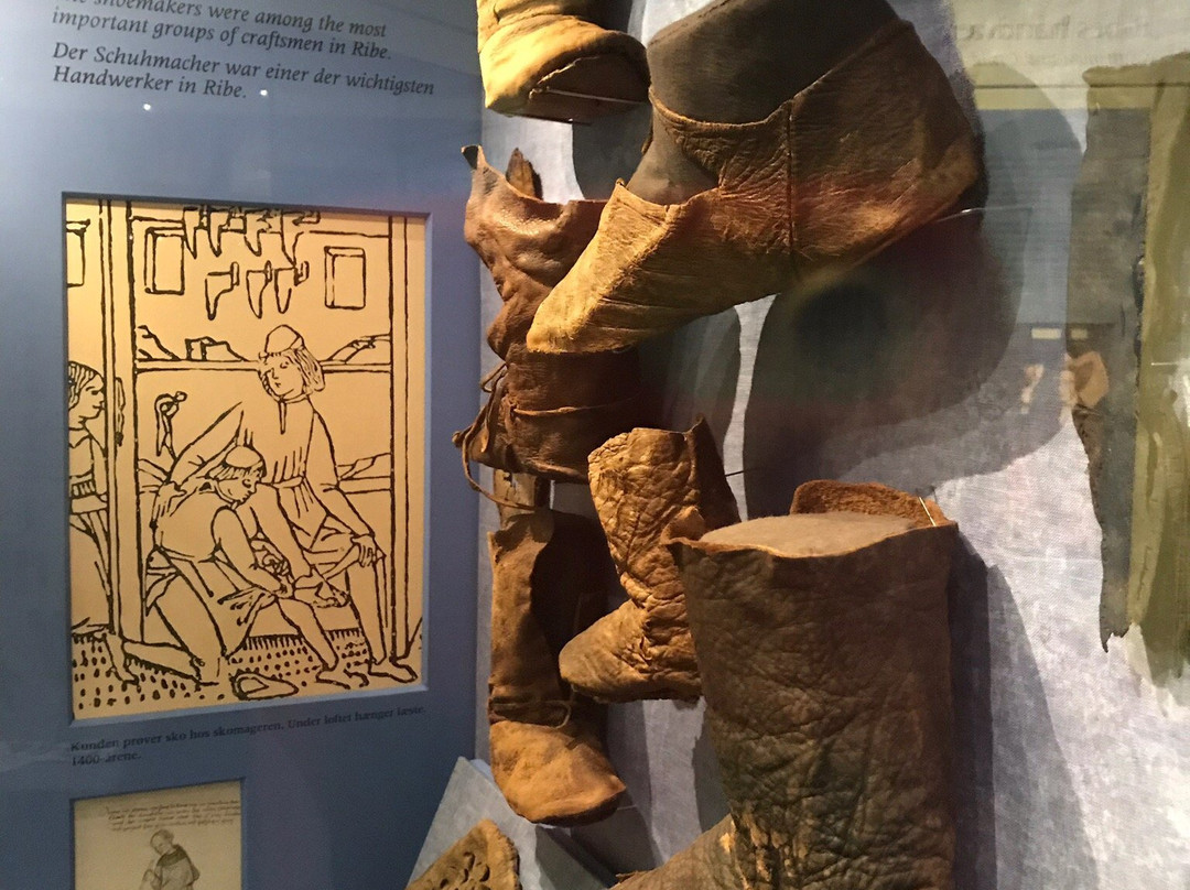 Museet Ribes Vikinger景点图片