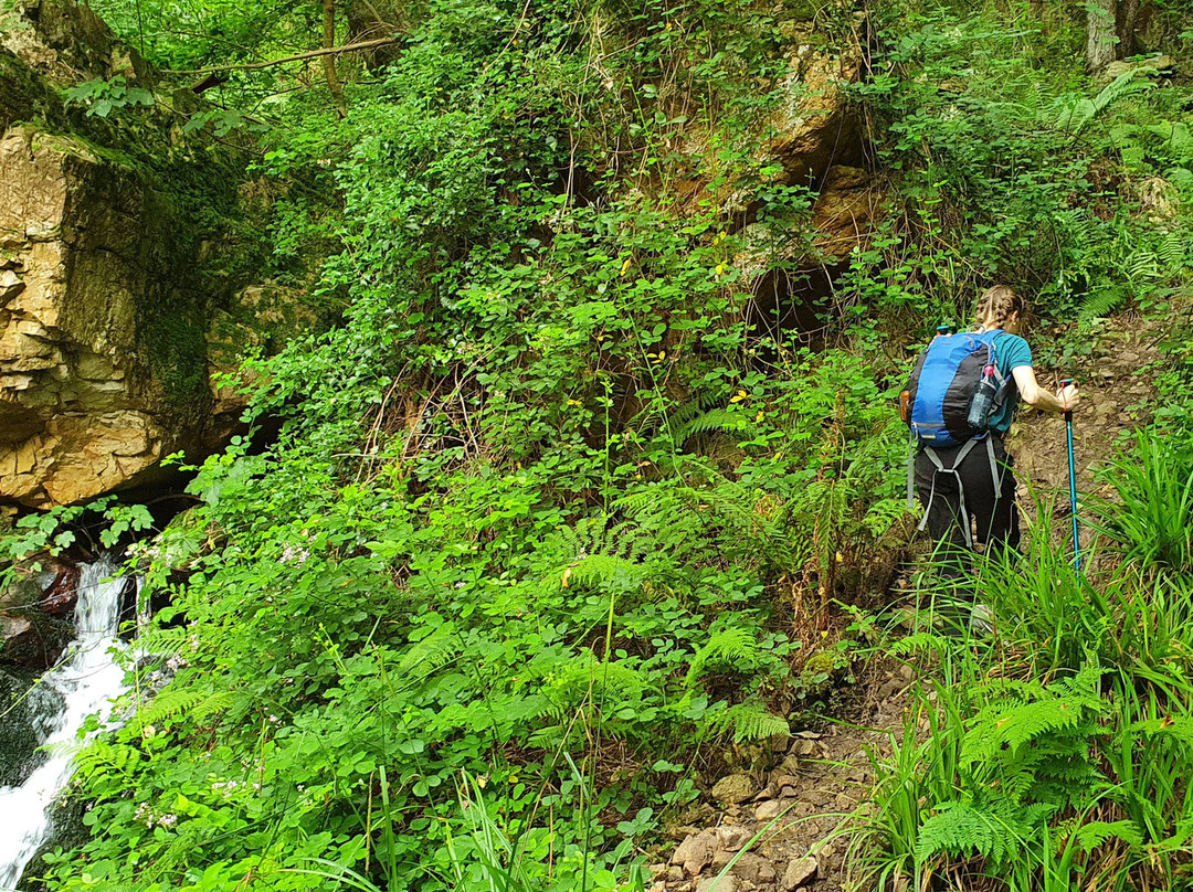 Cascadas del Guanga景点图片