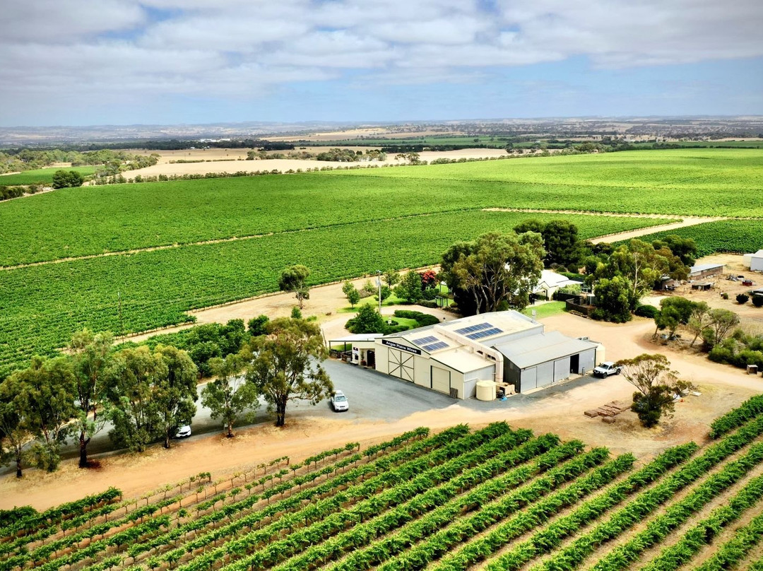 Angas Plains Wines景点图片