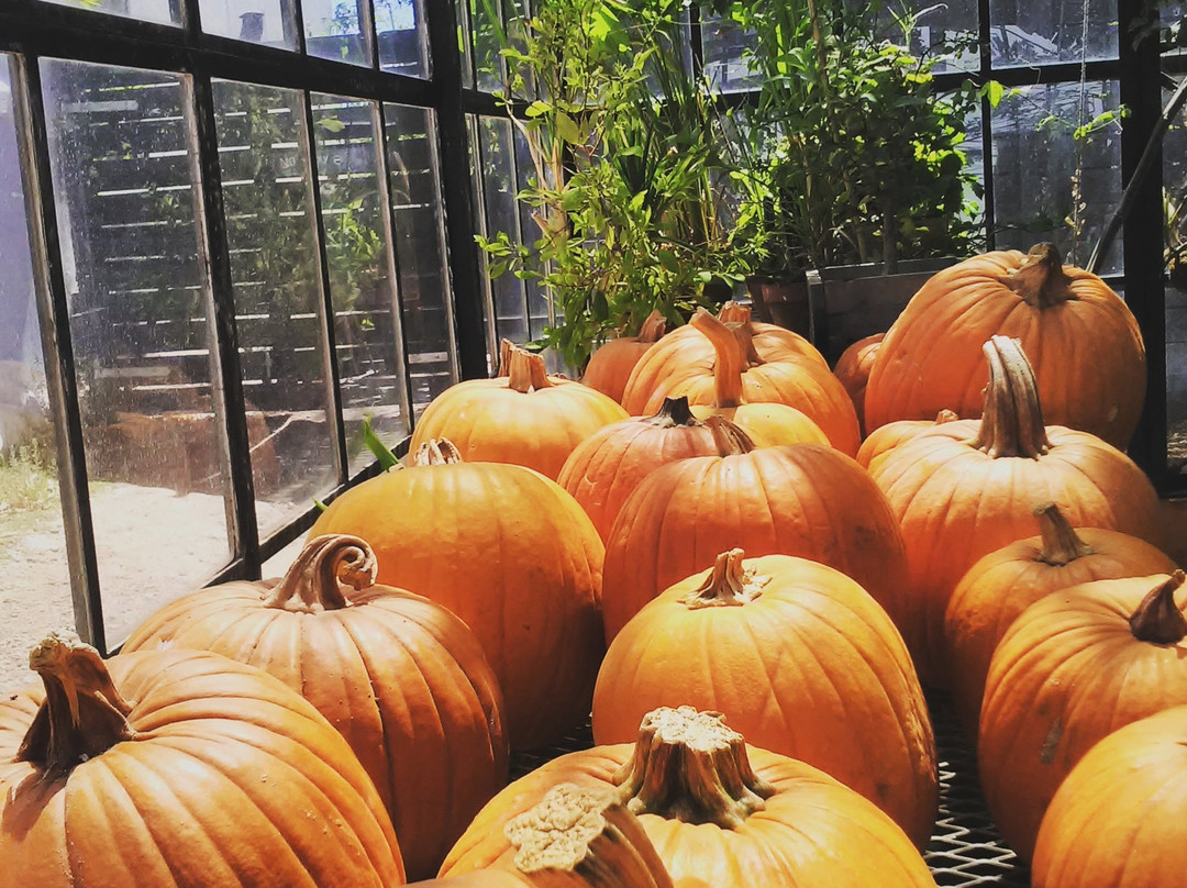 Stellenbosch Hills-斯泰伦博斯必去景点