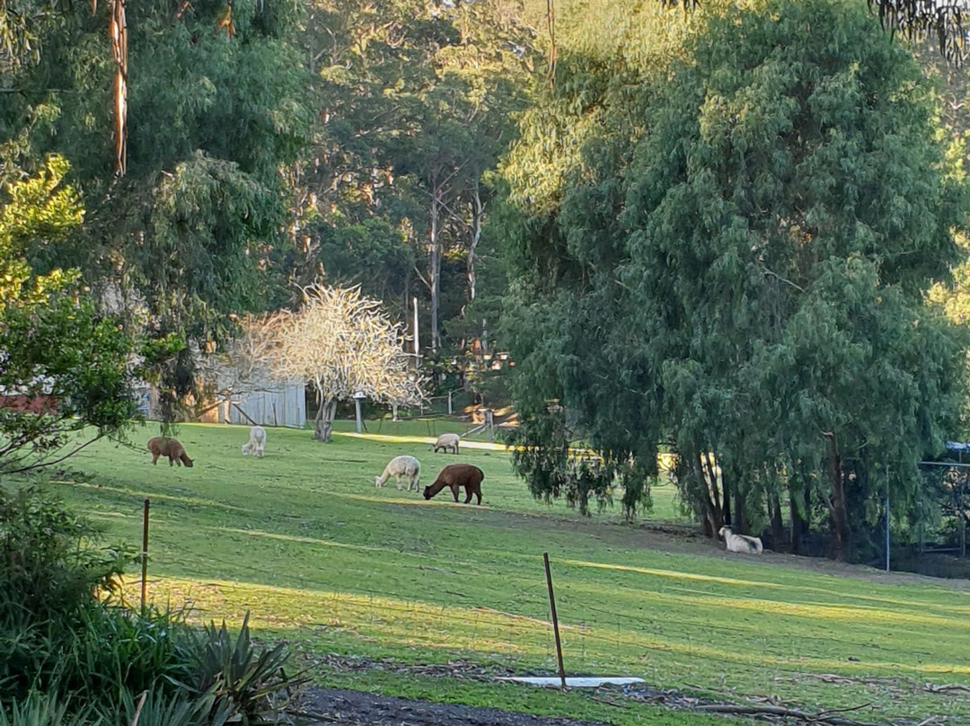 Morvern Valley Guesthouses主图