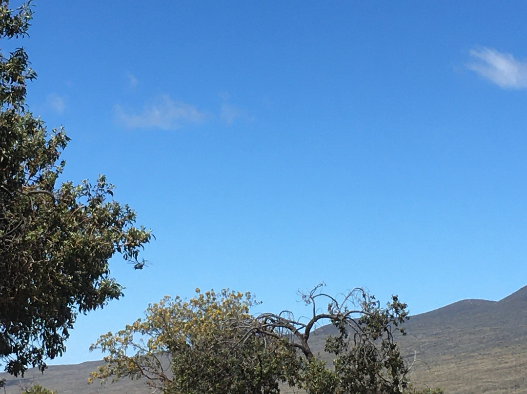莫纳罗亚天文台-希洛必去景点