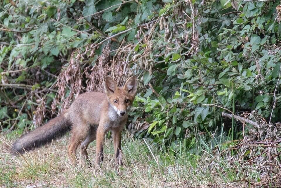 Oasi della Bruschera-Angera必去景点
