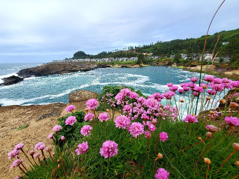 An Ocean Paradise Whales Rendezvous主图