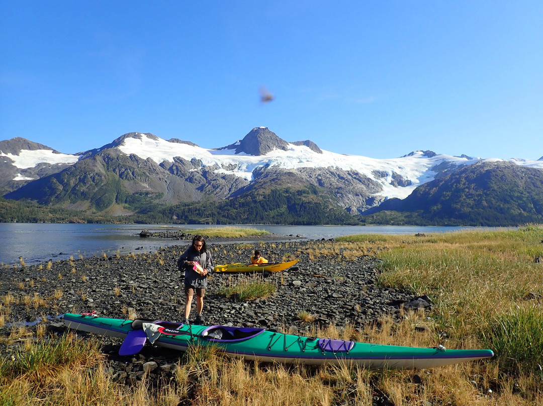 Turnagain Kayak景点图片