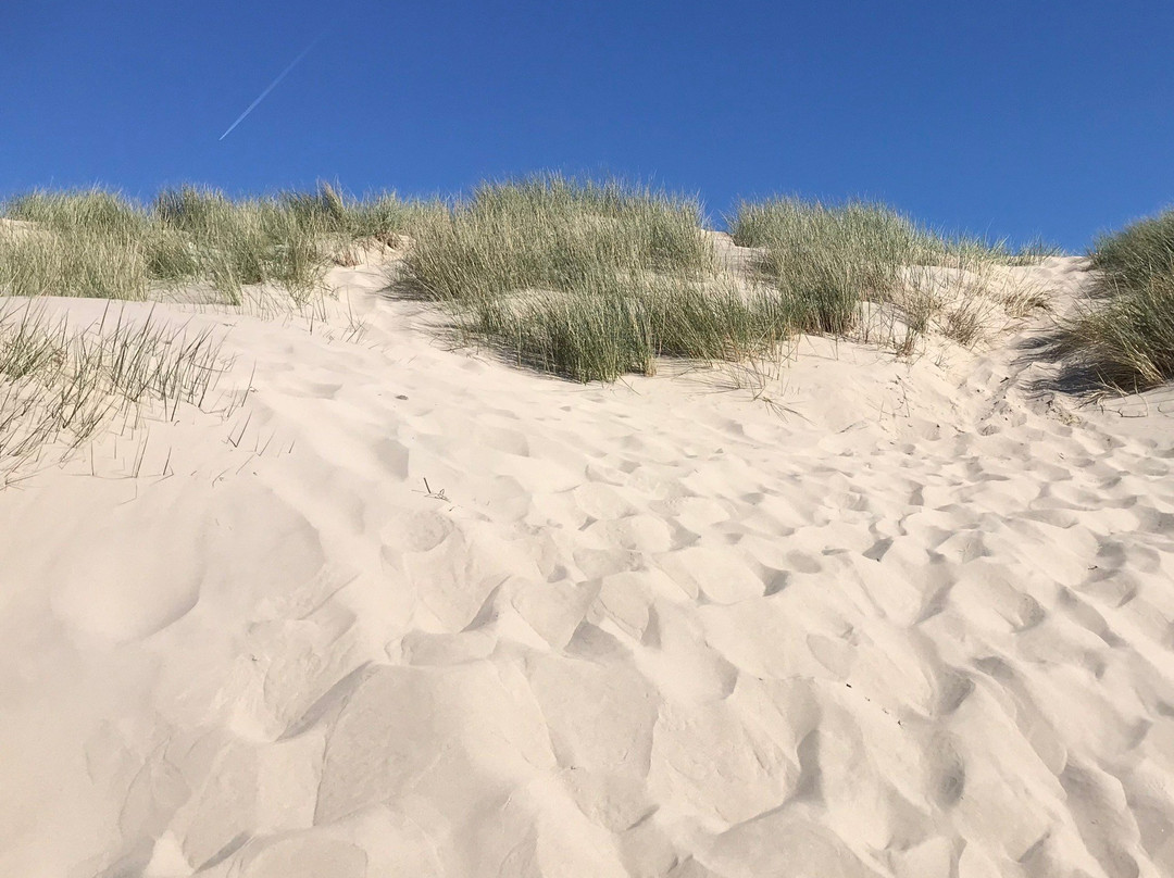 Dune du Perroquet景点图片