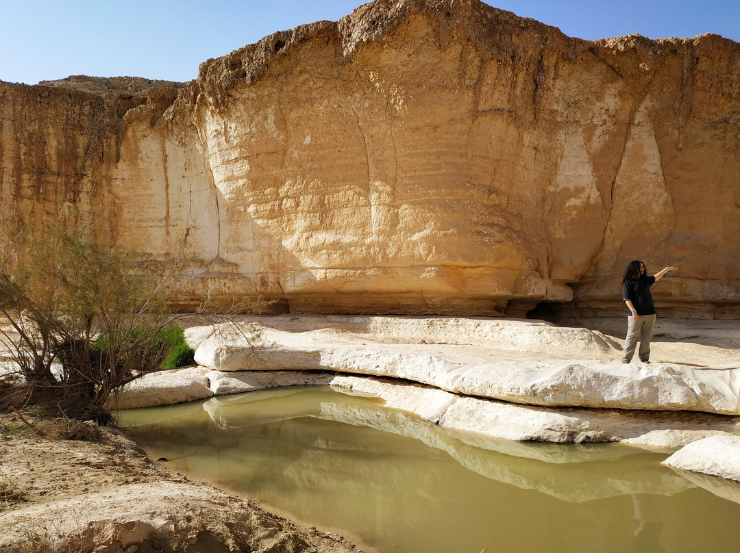 Israel Desert tours by Adam Sela-Midreshet Ben-Gurion必去景点