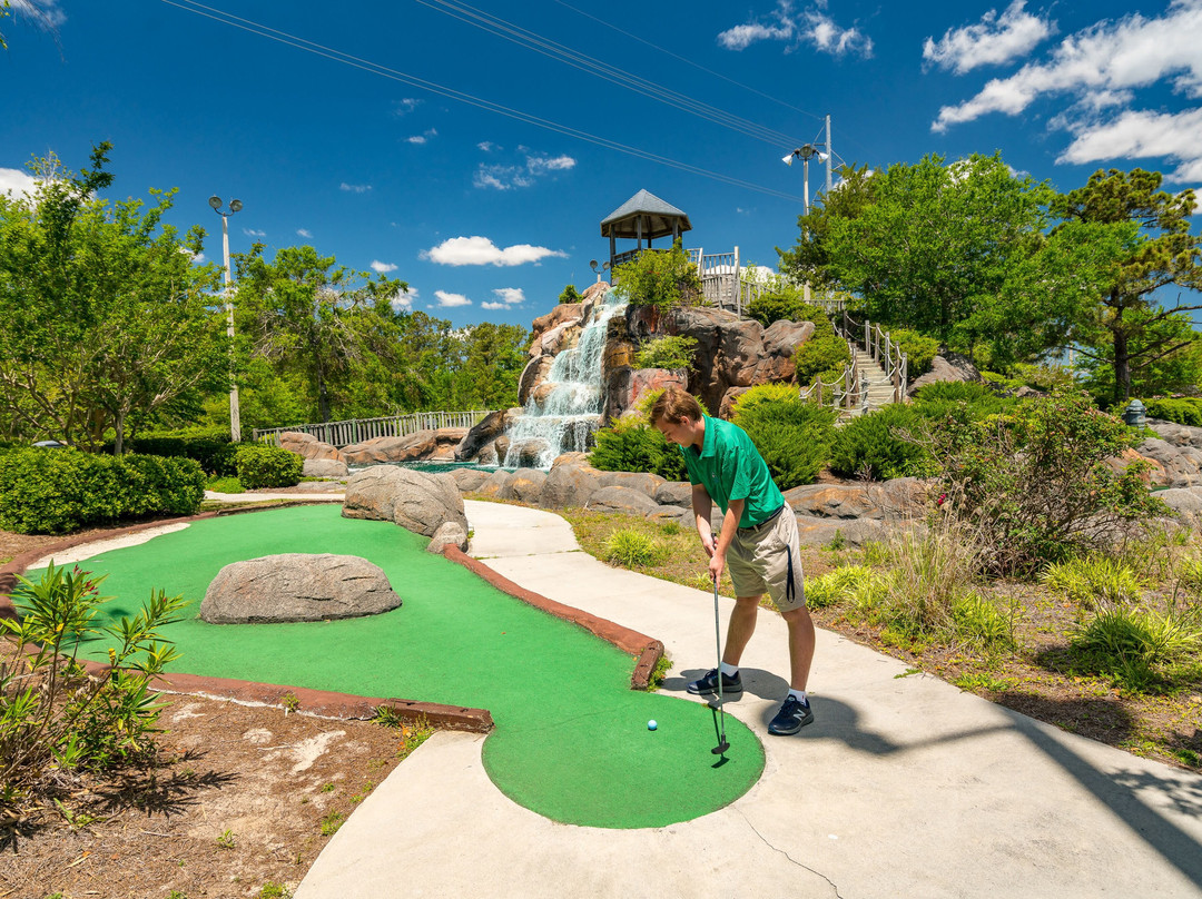 The Golfin Dolphin景点图片