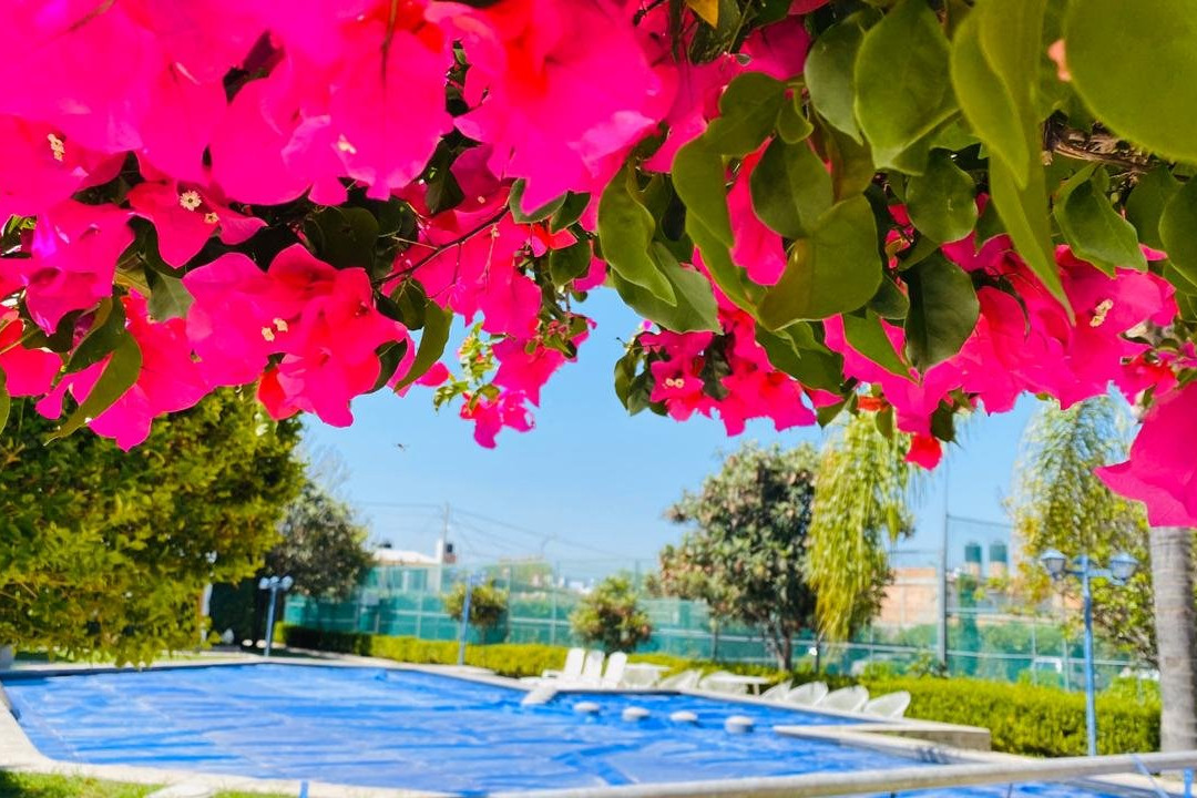 Hotel Mansion de San Jose Iturbide主图