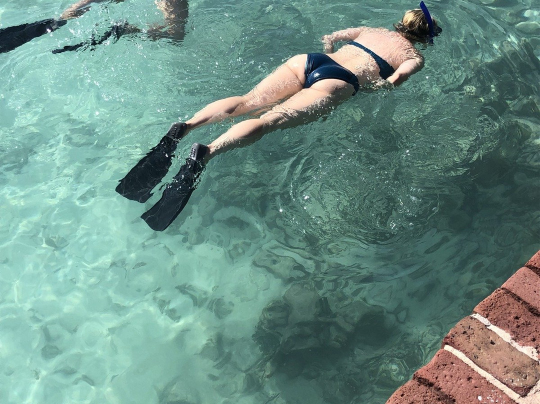 Yankee Freedom-基韦斯特必去景点